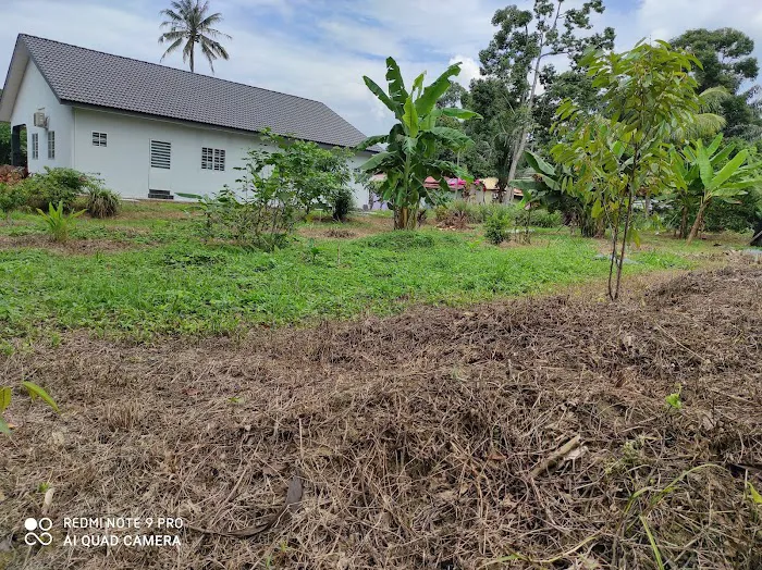 Hawa Homestay Picture 1