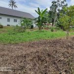 Hawa Homestay