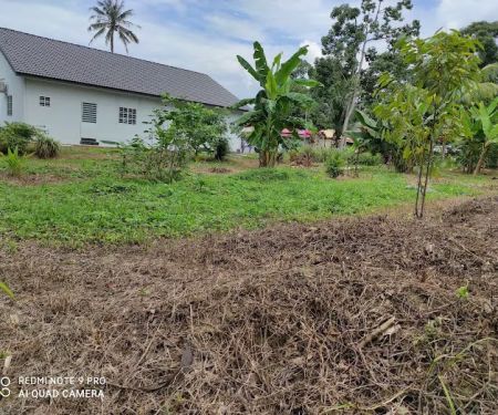 Hawa Homestay