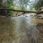Dusun Haji Radi