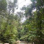Camp Adventure By The River Kerling