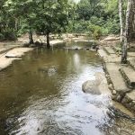 Pasir Putih Campsites