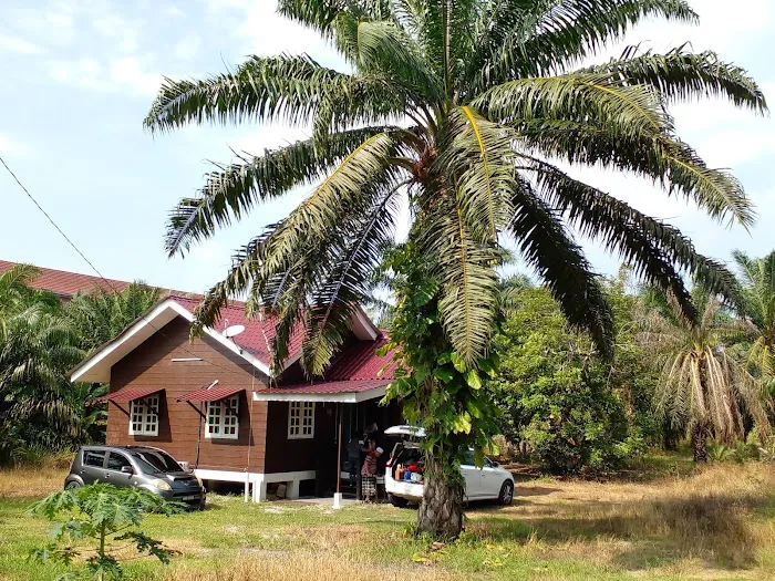 Homestay Bagan Terap Orchard (BTO) Picture 3