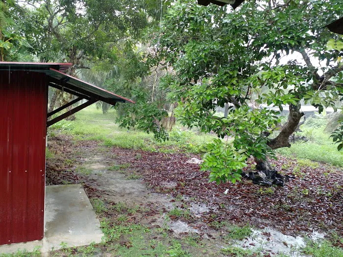 Homestay Bagan Terap Orchard (BTO) Picture 4