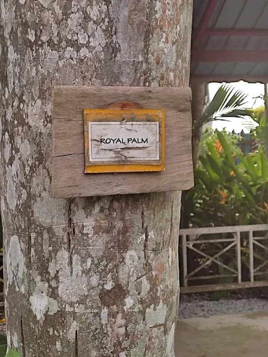 Pinang Sari Homestay Picture 4