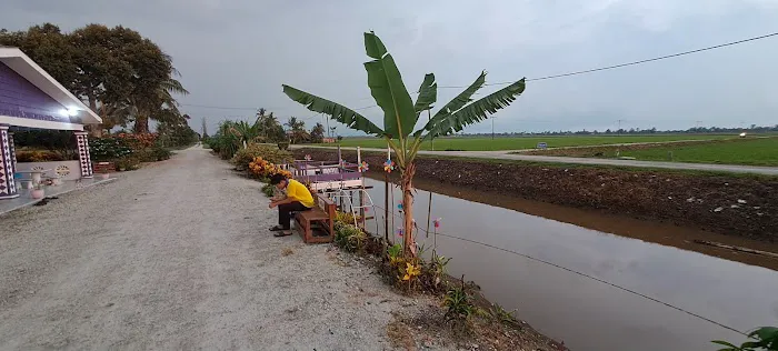 A UNGU homestay Picture 3
