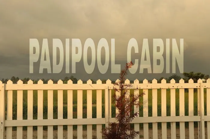 Padipool Cabin Picture 5