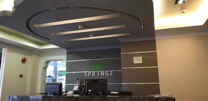 Springz Hotel Picture 1