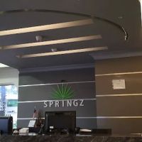 Springz Hotel ico