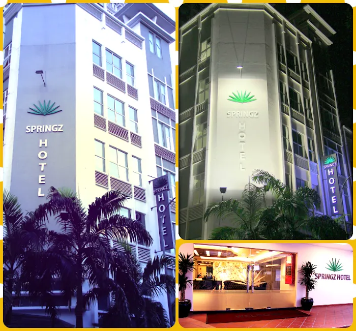 Springz Hotel Picture 5