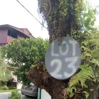 Fadly ico