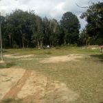 EE Ayumi Homestay