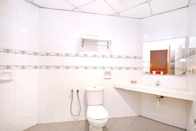 Super OYO 447 Comfort Hotel Meru Picture 1