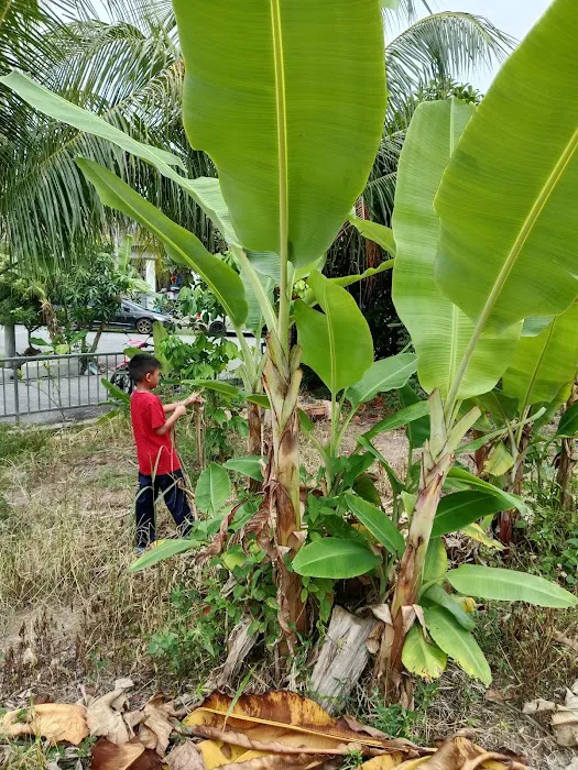 Pa- Damai lorong Kedai Selasa Picture 3