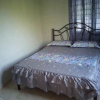 Pa- Damai lorong Kedai Selasa ico