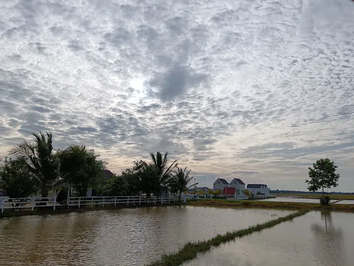 QM Cottage Homestay Picture 5