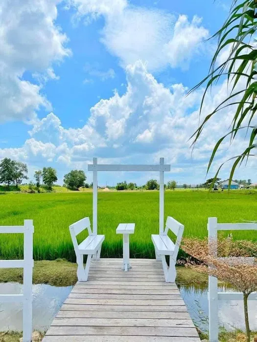 QM Cottage Homestay Picture 7
