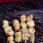 Teratak Jentayu Pauh