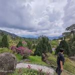 Cozy Villa, Genting