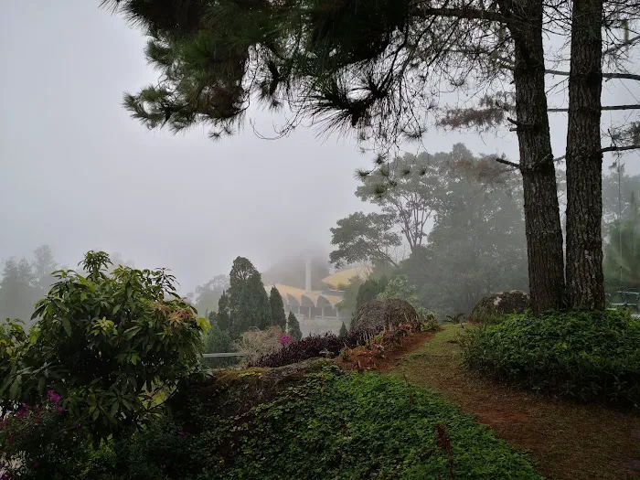Cozy Villa, Genting Picture 5