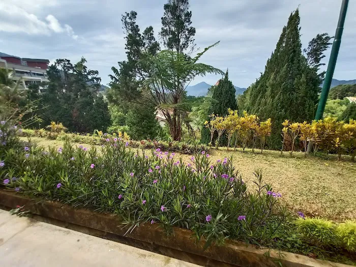 Cozy Villa, Genting Picture 9