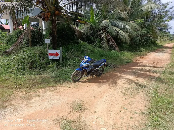 mahligai syukri & ida Picture 1