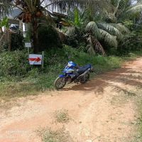 mahligai syukri & ida ico