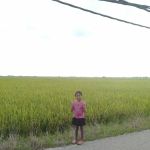 Home Stay Haji Nordin