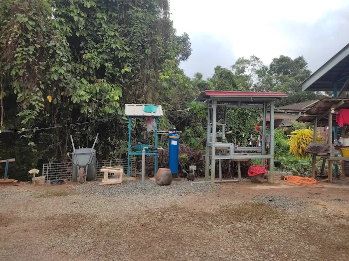 Homestay/Roomstay FIA-PING Picture 4