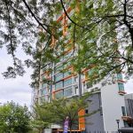 Majilis Sukan Negara Casa 1