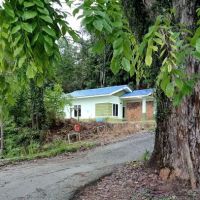 Rumah Singgah Nora ico