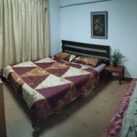 Tulip Homestay ico