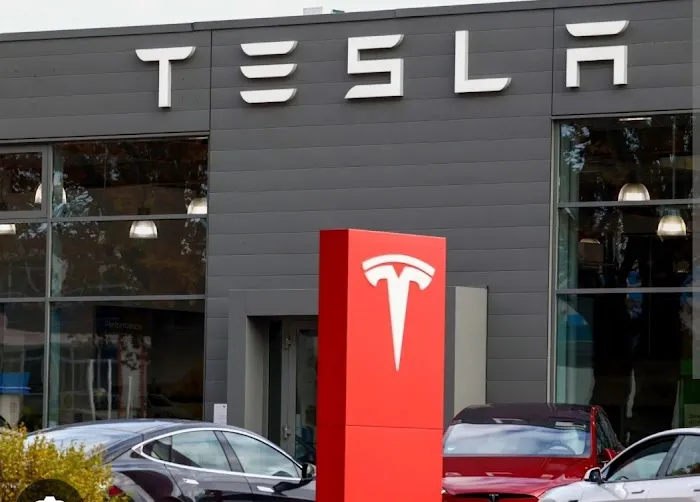 Tesla Homestay Picture 10