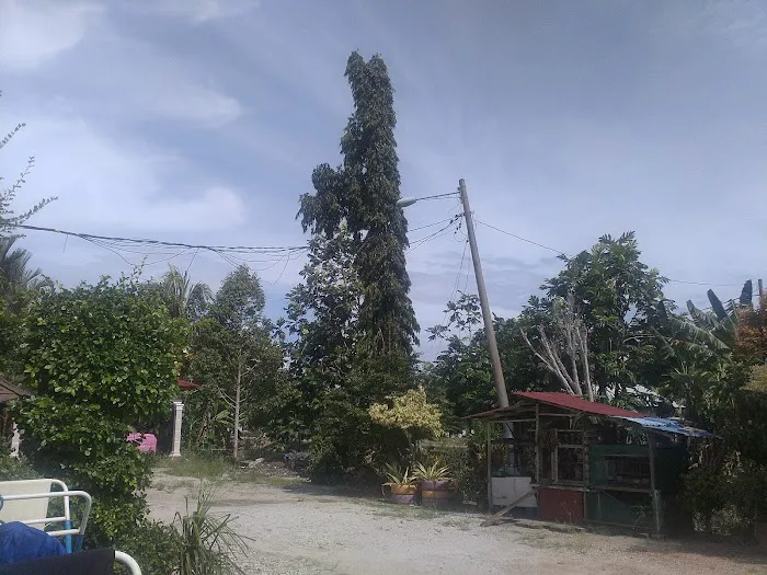 Rasa Sayang Homestay Picture 3