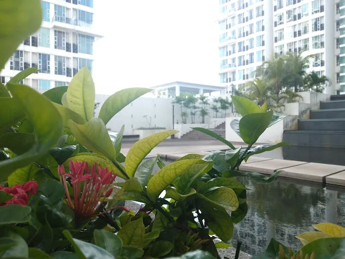Ktan Soho Picture 4