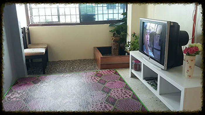 WAYNA HOMESTAY PUTRA PERDANA Picture 2
