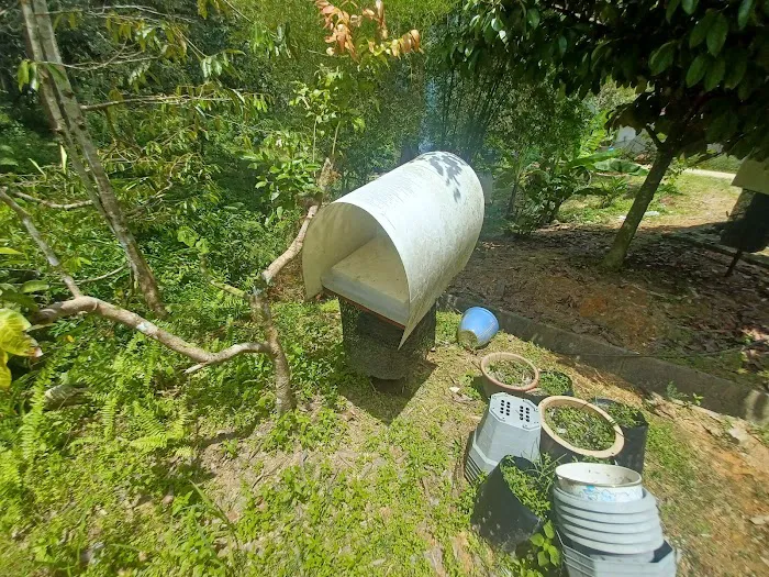 Felda Trolak Timur Picture 3