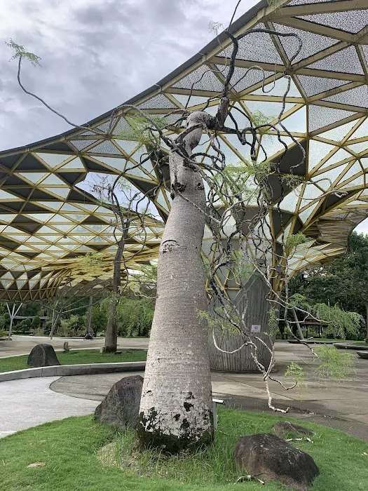 D' Sun Zone, Perdana Botanical Garden, Kuala Lumpur Picture 8