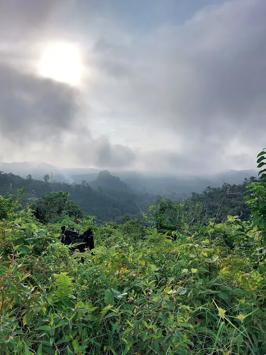 Bukit Peninjau Picture 6
