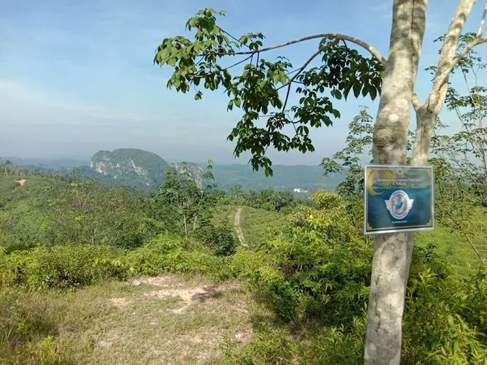Bukit Peninjau Picture 1