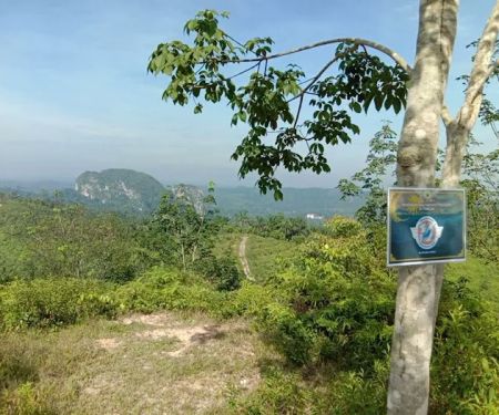 Bukit Peninjau