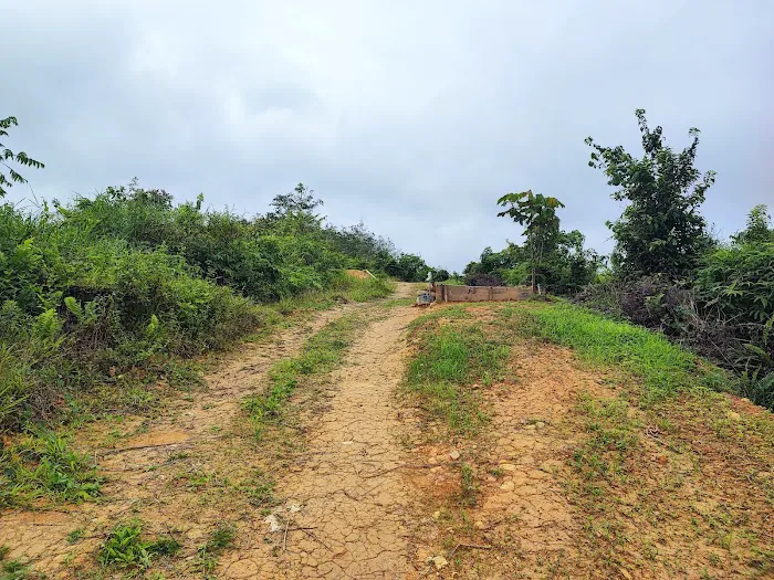 Bukit Peninjau Picture 8