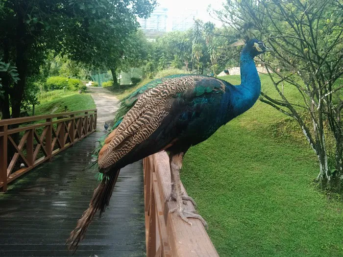 Perdana Botanical Garden Picture 6