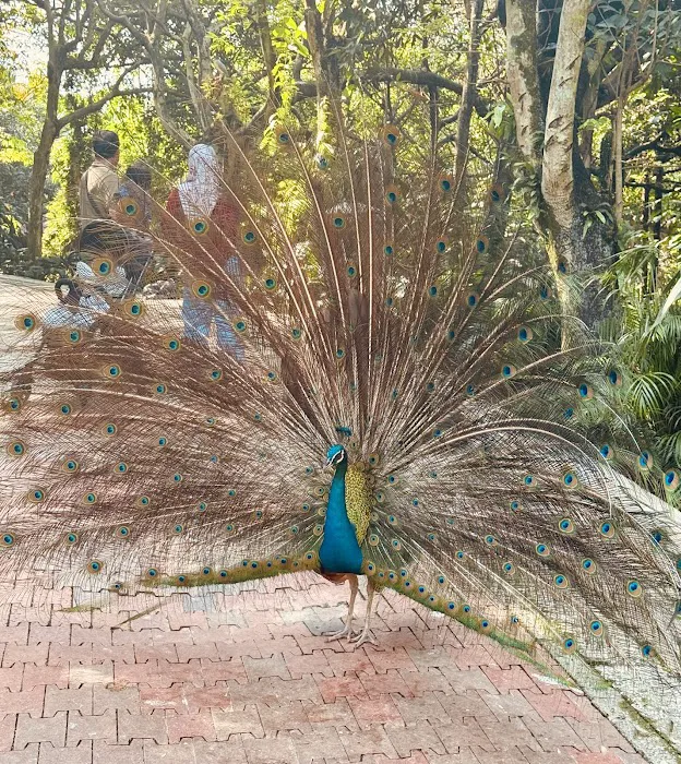 Perdana Botanical Garden Picture 7