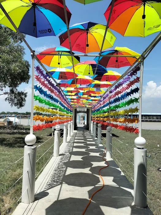 (Official Jetty) Sky Mirror Kuala Selangor Picture 7