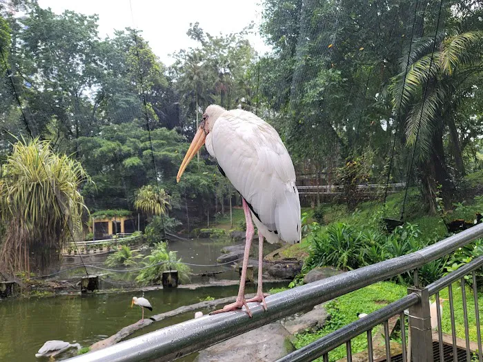 KL Bird Park Picture 7