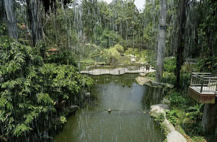KL Bird Park Picture 6