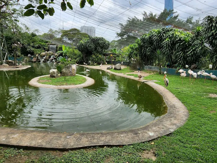 KL Bird Park Picture 1