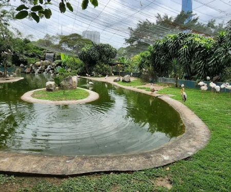 KL Bird Park