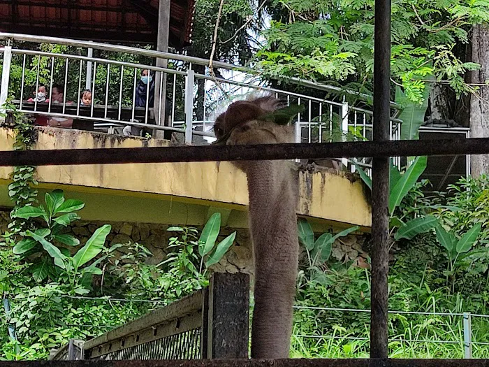 KL Bird Park Picture 3